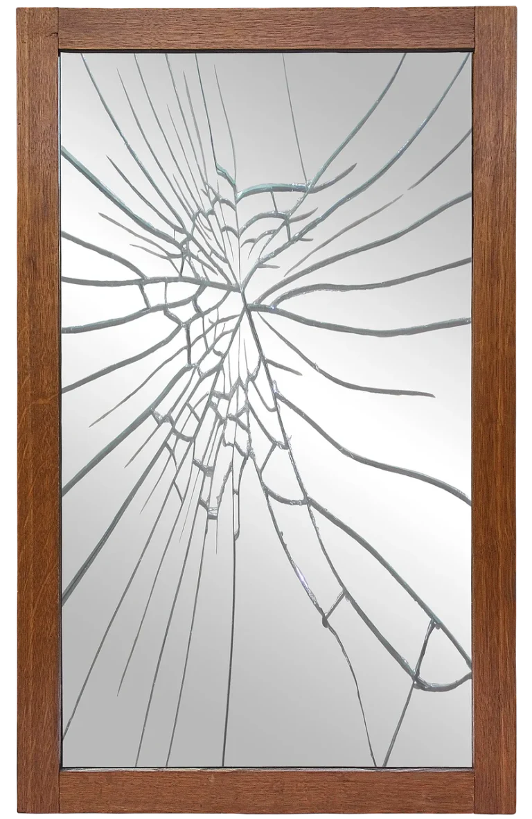 oana tomoiaga a divortat