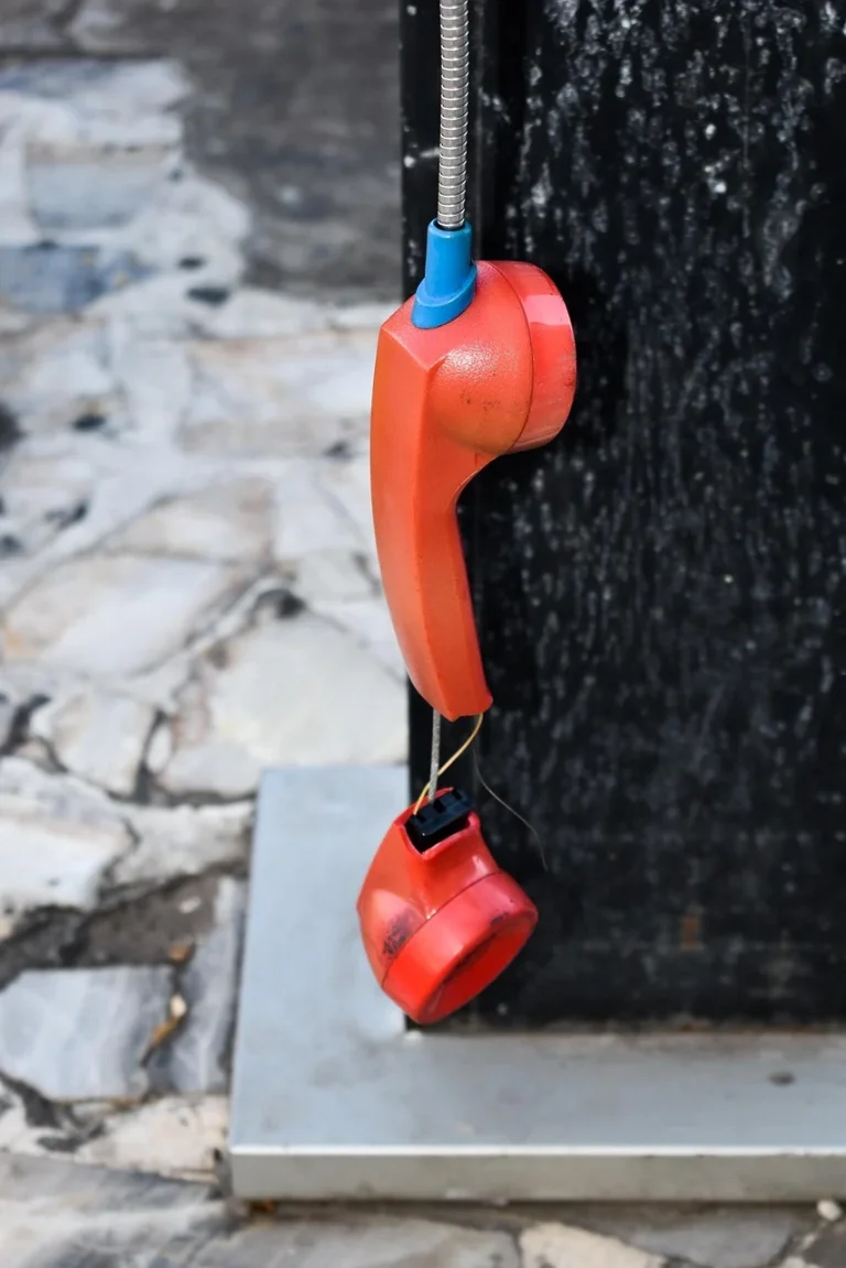 ilona brezoianu divort