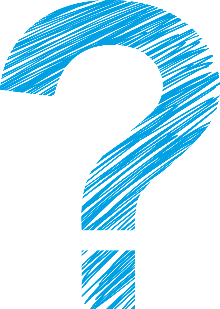 cine este sotia lui calin georgescu