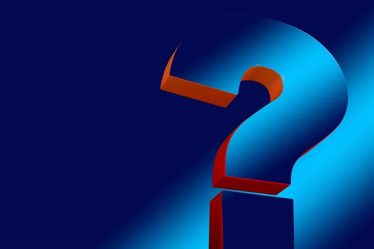 cine este dana budeanu