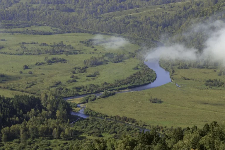 ce inaltime are vladimir putin