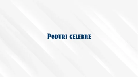 poduri celebre