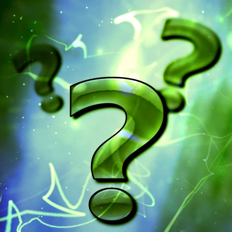 cine este gina bradea