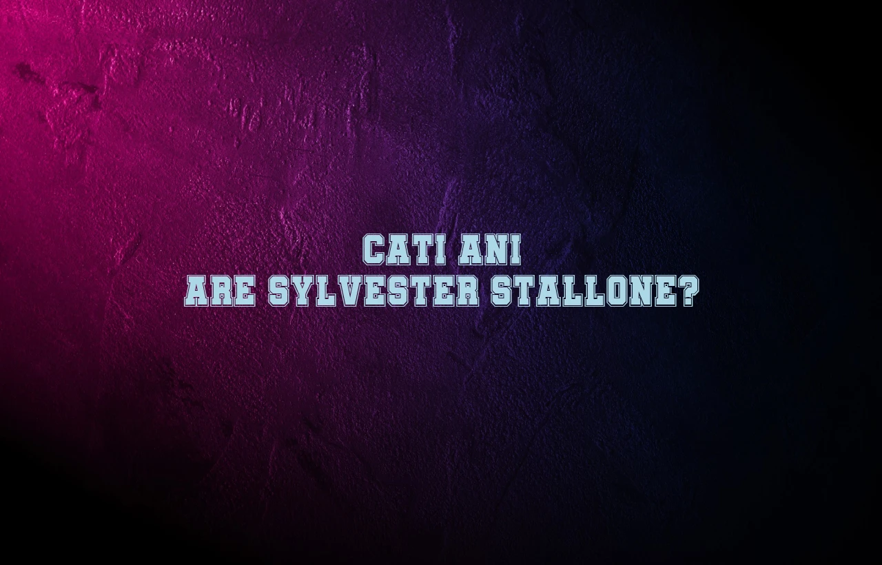 cati ani are sylvester stallone