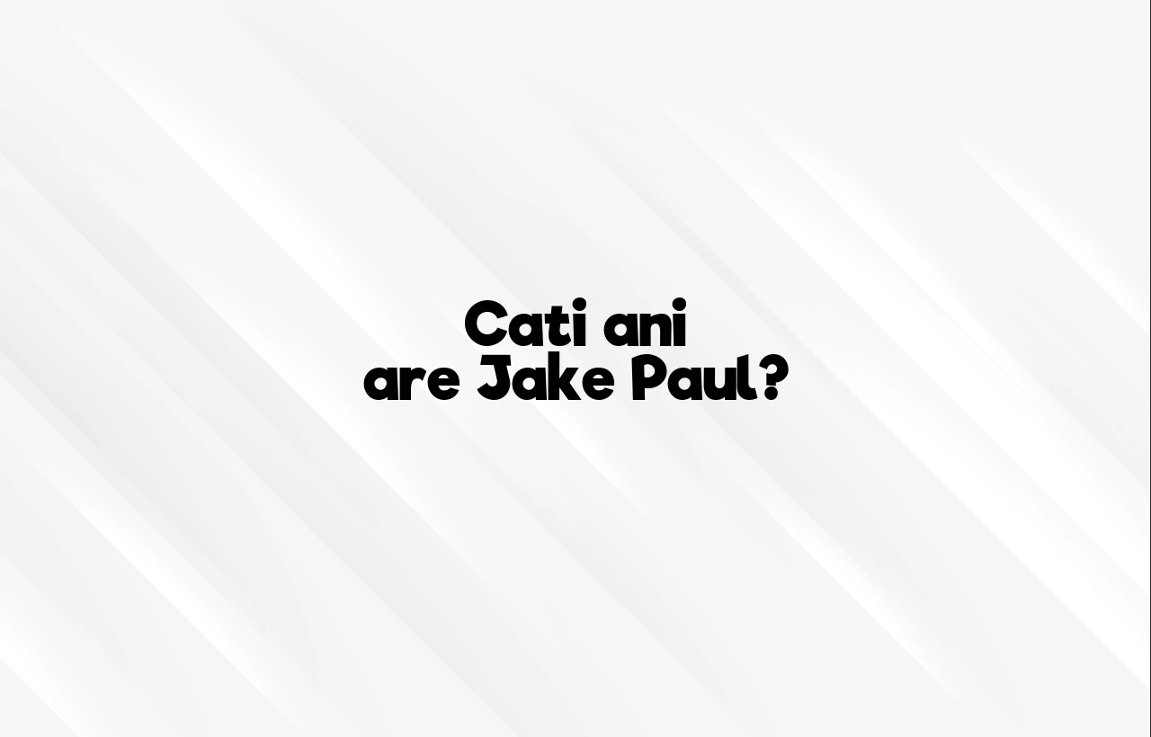 cati ani are jake paul