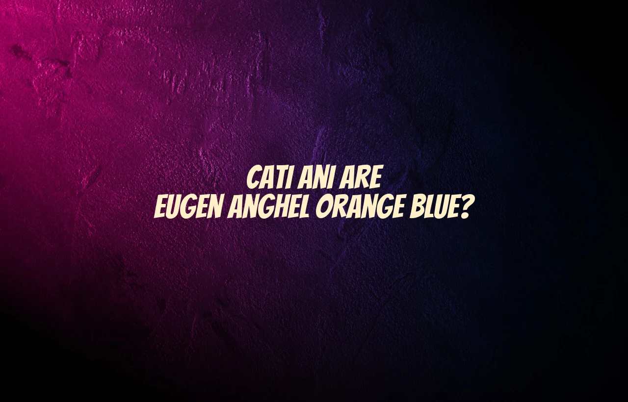cati ani are eugen anghel orange blue