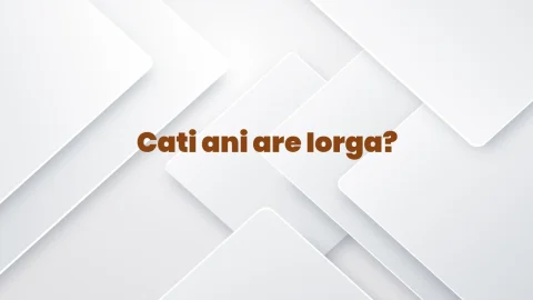 cati ani are iorga