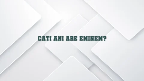 cati ani are eminem