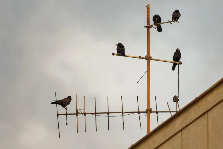 julia roberts inaltime