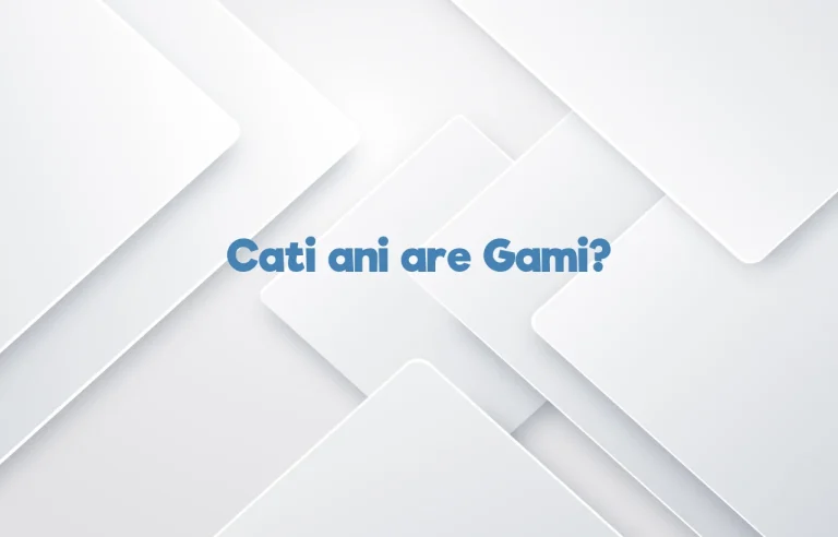 cati ani are gami