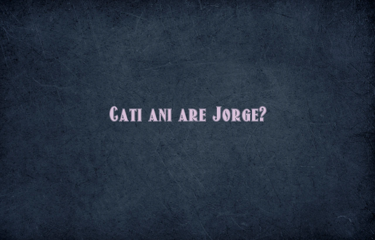 cati ani are jorge