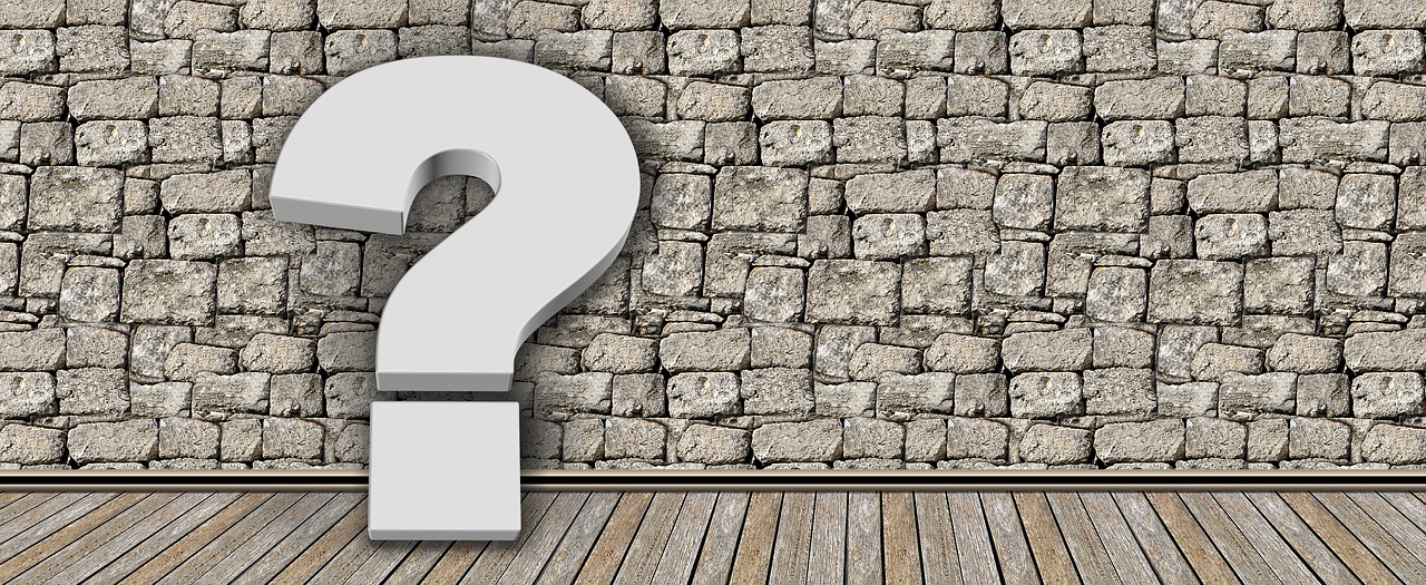 cati ani are adriana iliescu