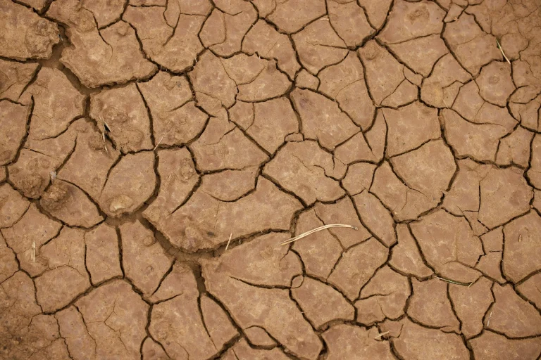 zdenek machacek feurbnunjhk unsplash